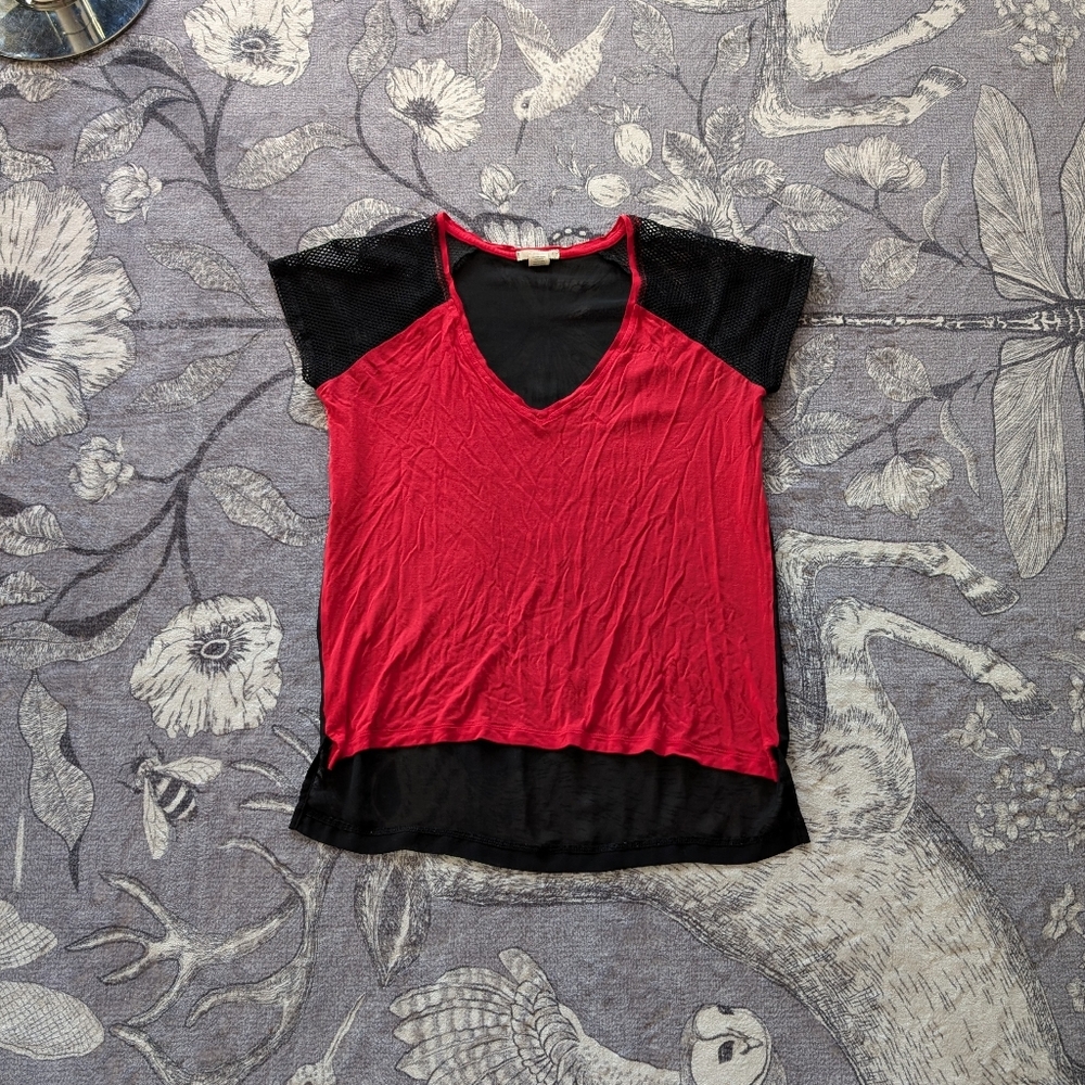 Sheer Back V Neck Top